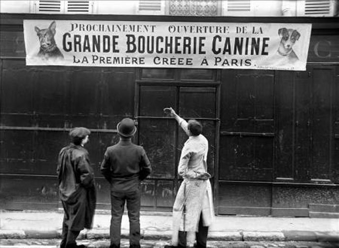 Grande_Boucherie_Canine_a_Paris De la viande de chiens bientôt vendue dans la première boucherie canine de France