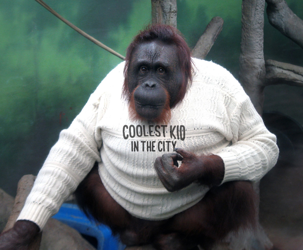 hm-remplace-lenfant-vrai-singe-sweat-shirt-juge-raciste-1024x844 H&M remplace l'enfant par un vrai singe sur le sweat-shirt jugé raciste
