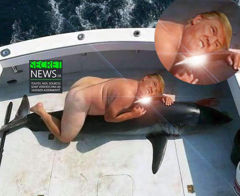 trump-donald-chasse-requin-naked-nude-nu-a-poil-secretnews-2 Donald Trump chasse le requin, tout nu sur son bateau (PHOTOS 18+)