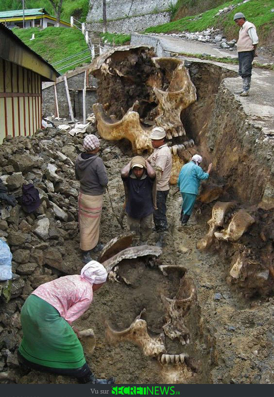 geant-nephilim-giant-photoshop-fake-hoax-12 Les géants et les nephilims ont existé  ! Ces photos du FBI déclassifiées par erreur le prouvent