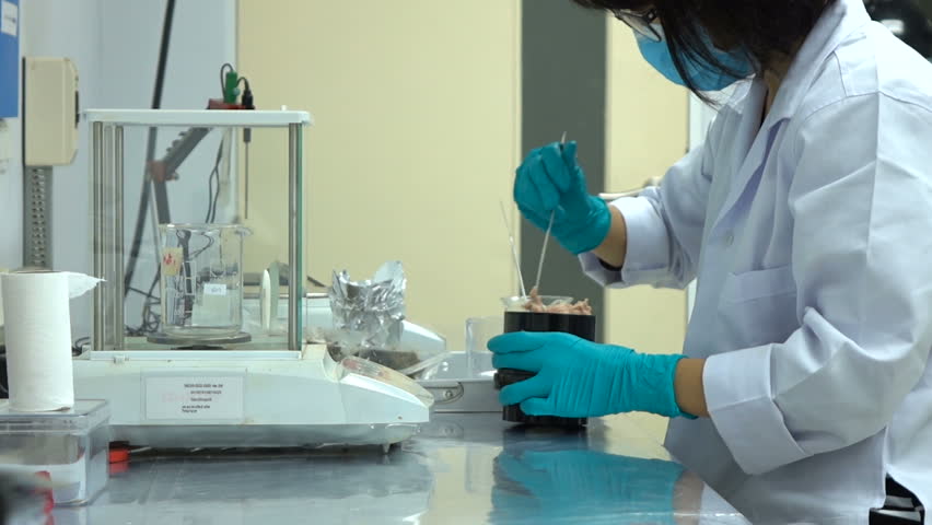 kang-scentist L'armée indonésienne capture une chauve-souris géante issue de manipulations génétiques américaines