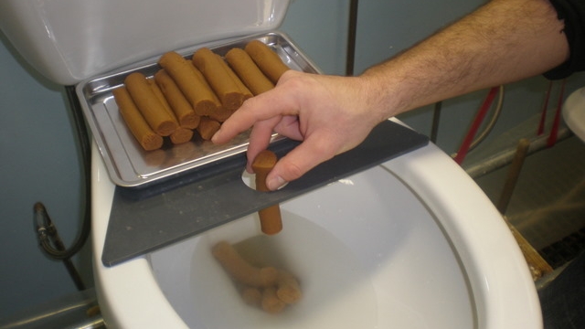 testeur-de-toilettes-wc Économie : découvrez 10 offres d'emplois jugées "raisonnables" par Pôle Emploi