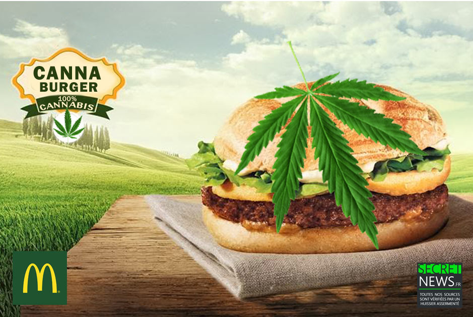 cannaburger-cannabis-burger-marijuana-2-1 McDonald's lance un burger au cannabis disponible dans les pays ayant légalisé la marijuana