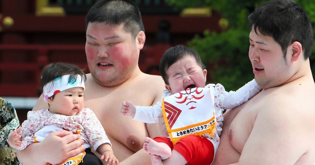 sumos Pour grossir, les Sumos mangent des bébés vivants riches en protéines