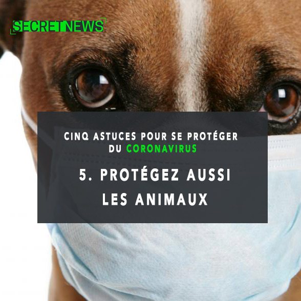 conseils-coronavirus-5 Santé : 5 astuces pour se protéger du coronavirus